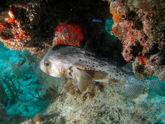 IMG_0320-Edit