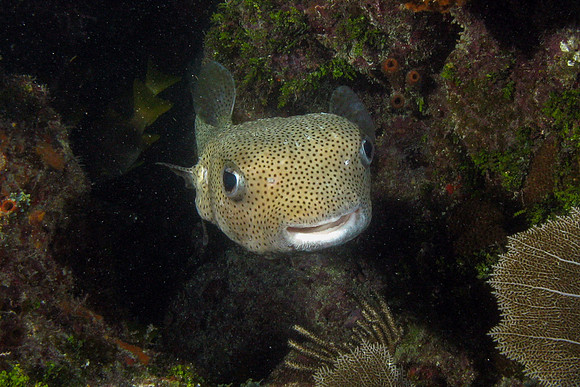 IMG_3083cropal