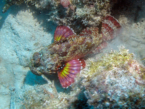 IMG_5687cropalbig