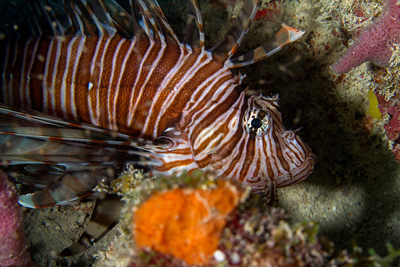 IMG_5291-Edit