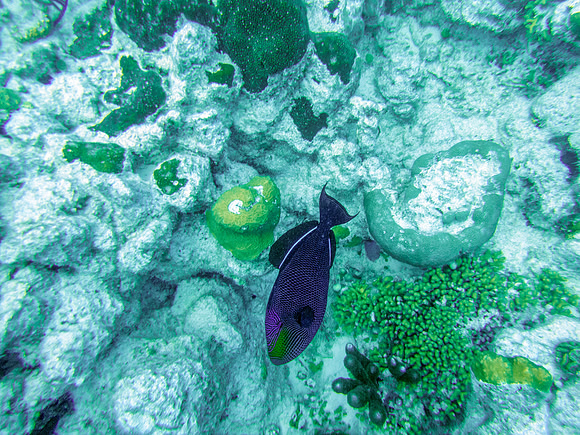 P3097065-Edit