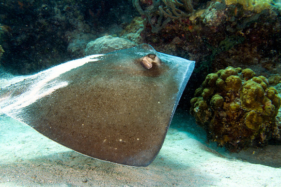 _MG_8594-Edit
