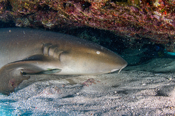 _7D_8901-Edit