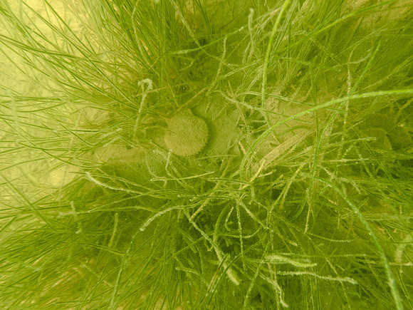 P7170863