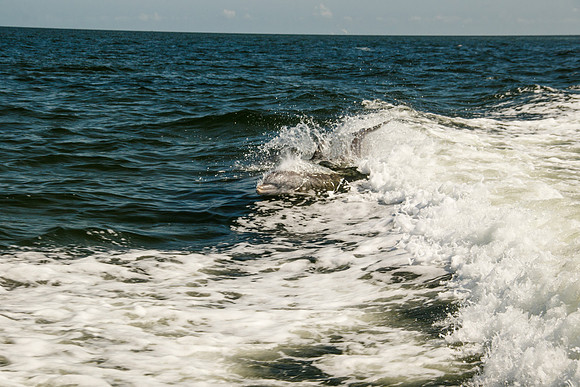 I72_8724