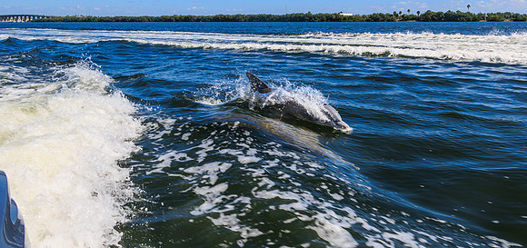 R6228368