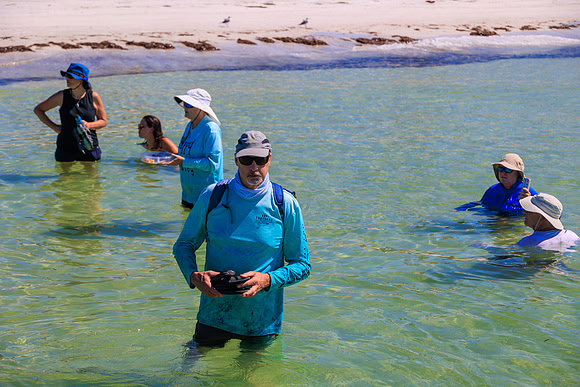 R6228401
