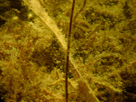 P7120549