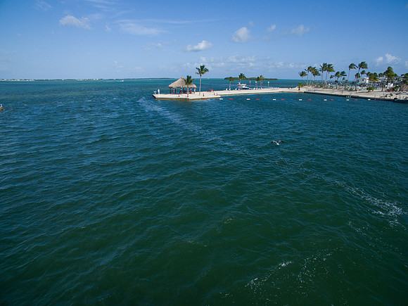 DJI_0561