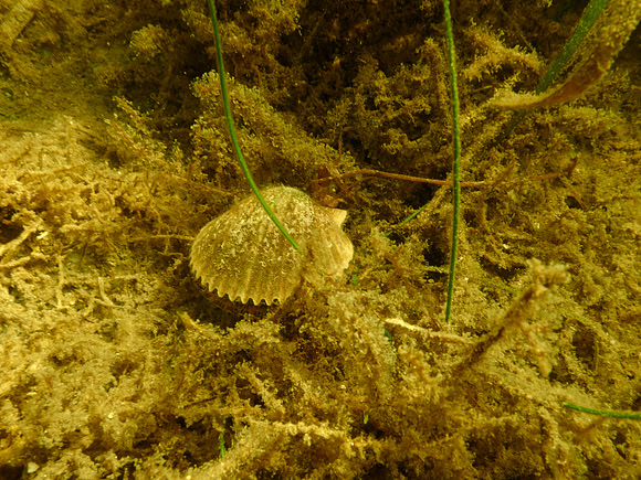 P7120543