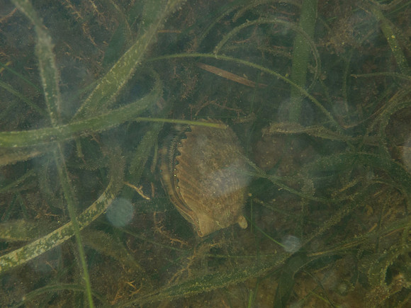 P7120540
