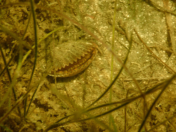 P7130600