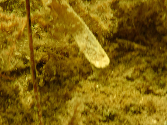 P7120548