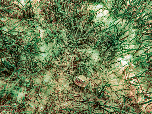 P8082718-Edit