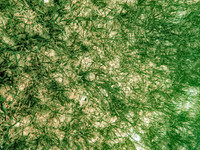 P8102796-Edit