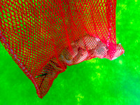 P8102805-Edit