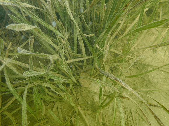 P7150764