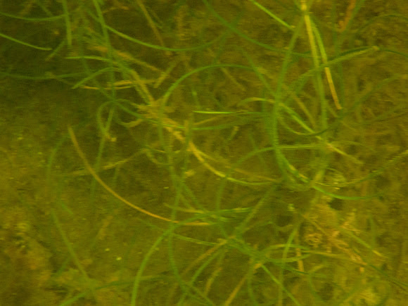 P7120563