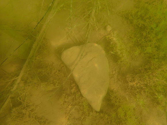 P9050639