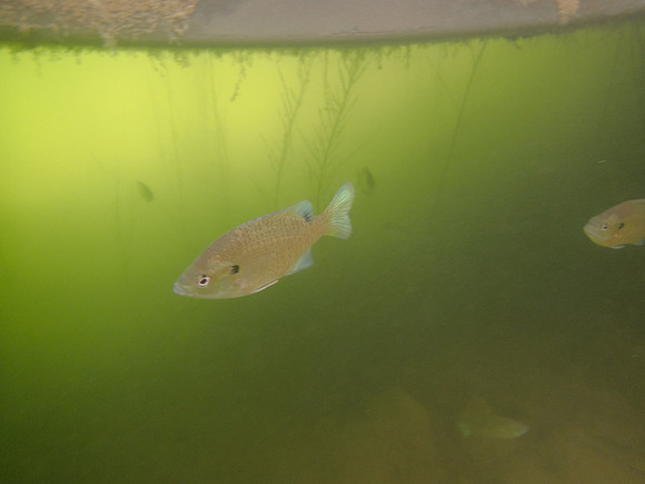 P9050664