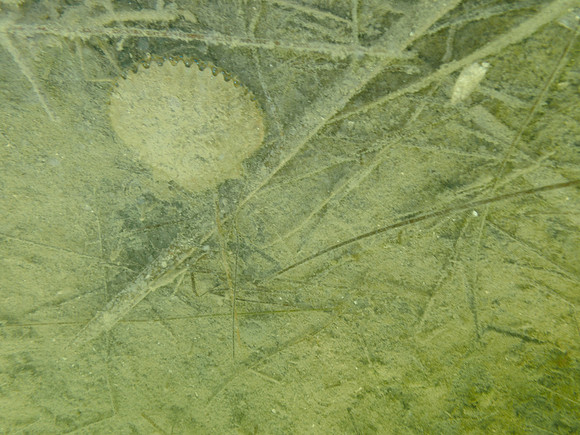 P7160835