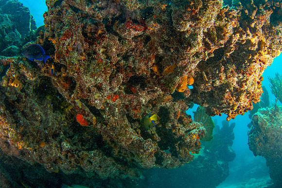_7D_0759-Edit