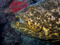 IMG_1428-Edit