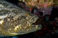 IMG_3078-Edit