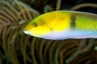 IMG_3226-Edit