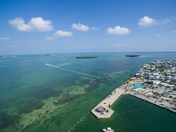 DJI_0038