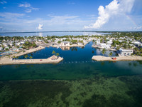 DJI_0219