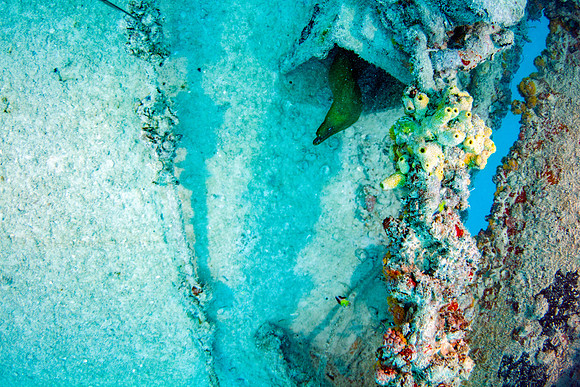 _7D_8056-Edit