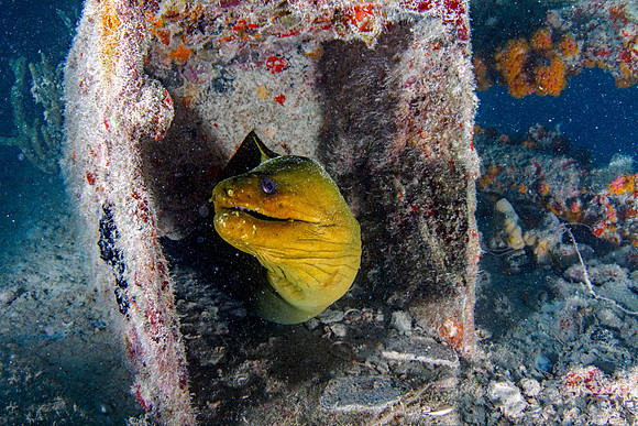 _7D_8140-Edit
