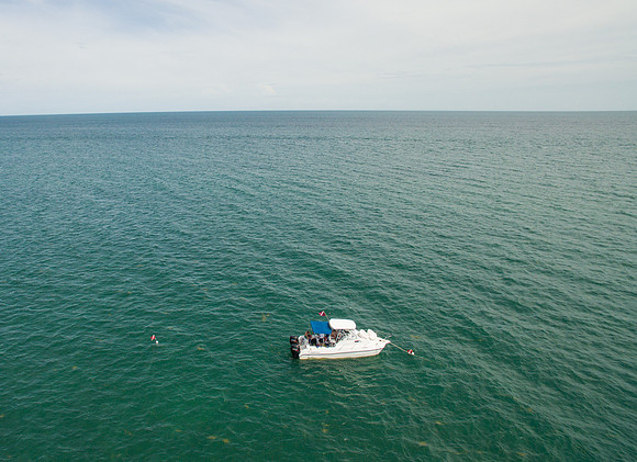DJI_0527