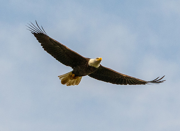 I72_0060-Edit