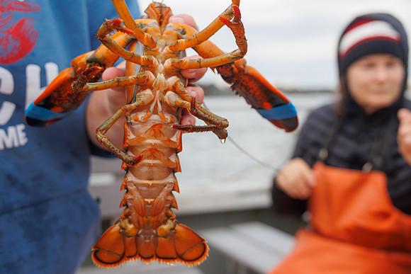 R6224862