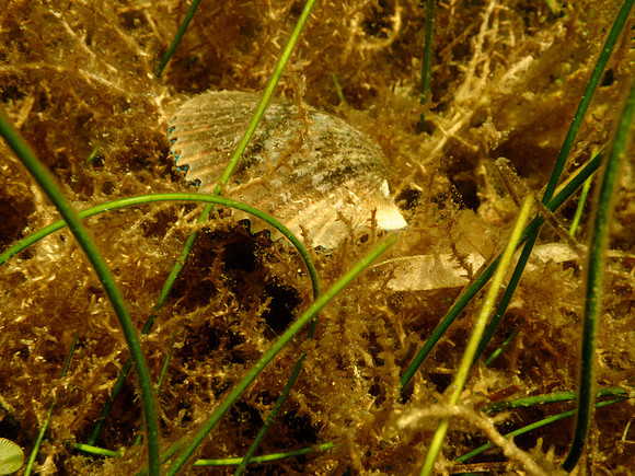 P7130630