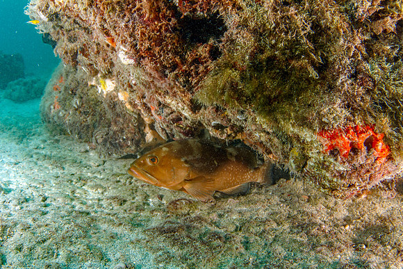 _7D_8580-Edit