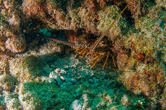 _7D_8623-Edit