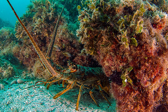 _7D_8659-Edit