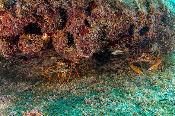 _7D_8672-Edit