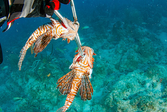 _7D_8934-Edit