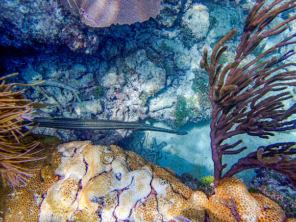 P9281745-Edit