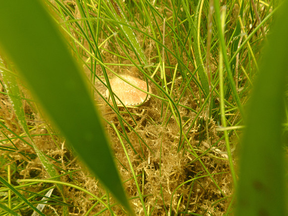 P7140730
