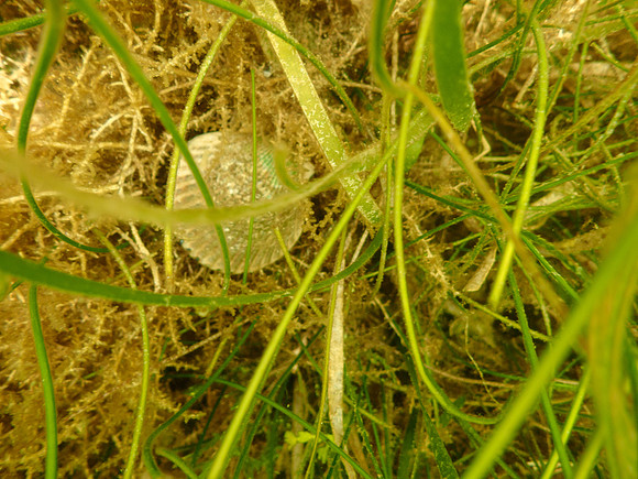 P7140746