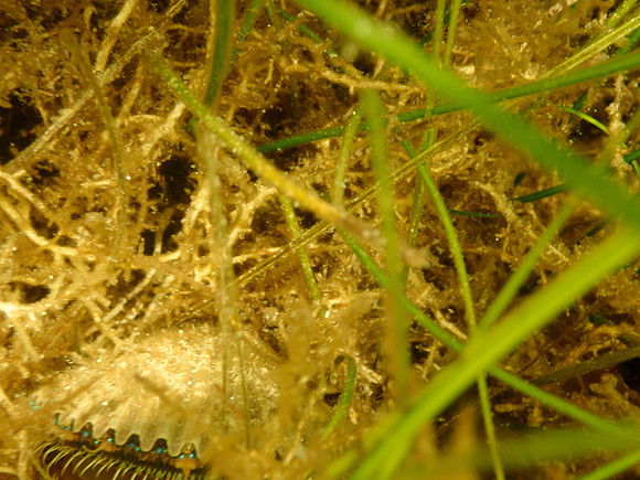 P7130645