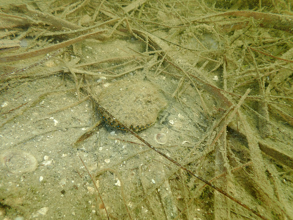 P7150773