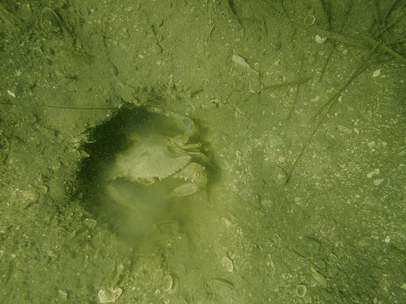 P7160843