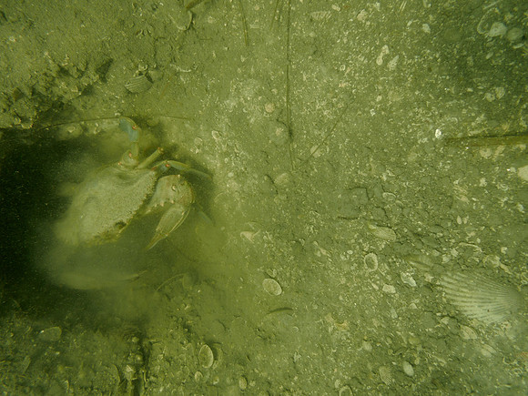 P7160842
