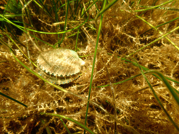 P7130614